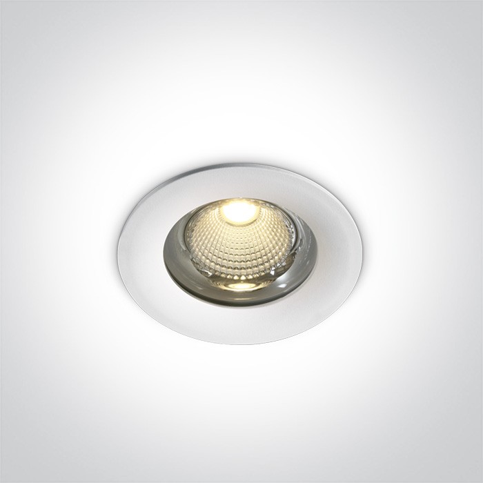 10115G/W/W BLANC 15W WW IP65 230V